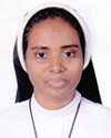 Sr. Shaiby